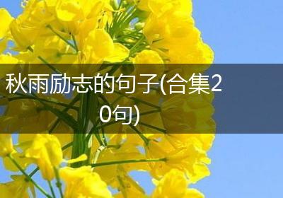 秋雨励志的句子(合集20句)