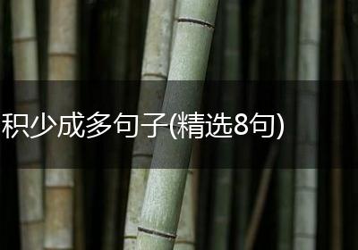 积少成多句子(精选8句)