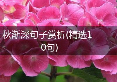 秋渐深句子赏析(精选10句)