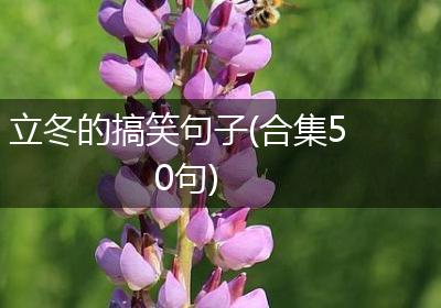 立冬的搞笑句子(合集50句)