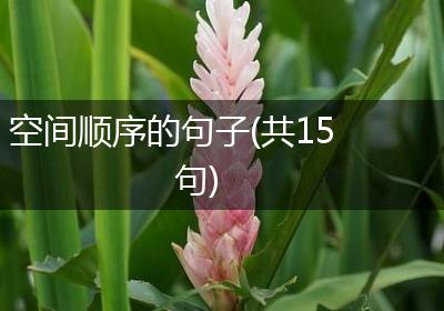 空间顺序的句子(共15句)