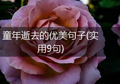童年逝去的优美句子(实用9句)