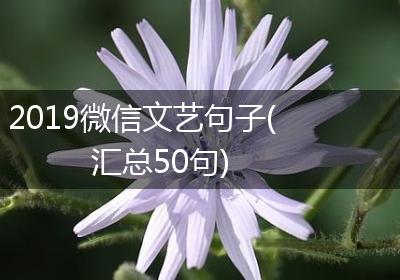 2019微信文艺句子(汇总50句)