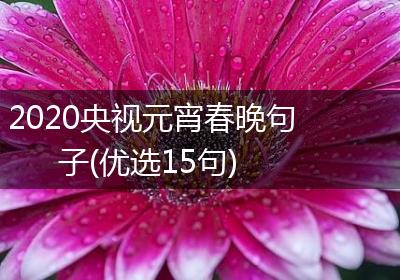 2020央视元宵春晚句子(优选15句)