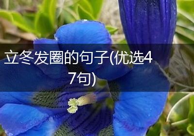 立冬发圈的句子(优选47句)