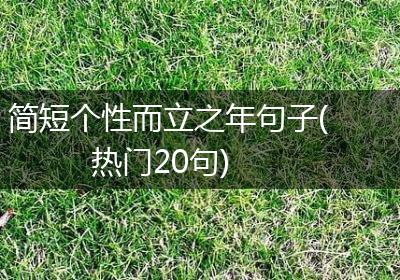 简短个性而立之年句子(热门20句)