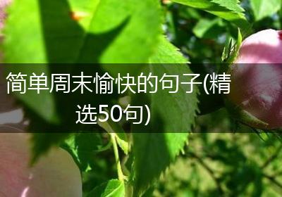 简单周末愉快的句子(精选50句)