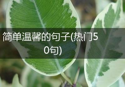 简单温馨的句子(热门50句)