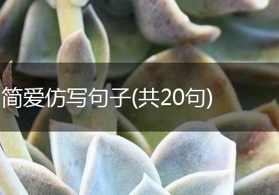 简爱仿写句子(共20句)