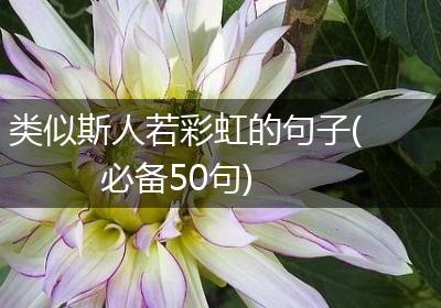类似斯人若彩虹的句子(必备50句)