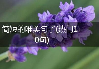 简短的唯美句子(热门10句)