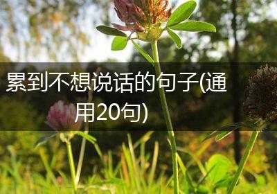 累到不想说话的句子(通用20句)