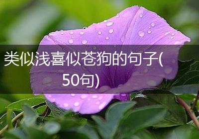 类似浅喜似苍狗的句子(50句)