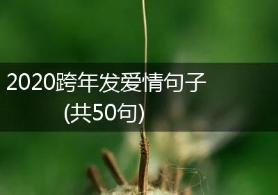 2020跨年发爱情句子(共50句)