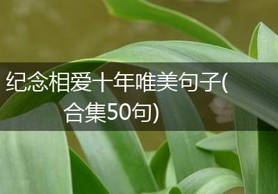 纪念相爱十年唯美句子(合集50句)