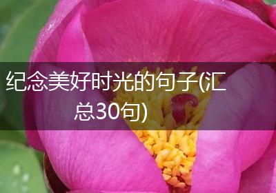 纪念美好时光的句子(汇总30句)