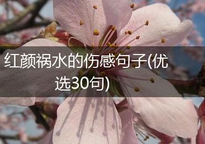 红颜祸水的伤感句子(优选30句)