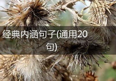经典内涵句子(通用20句)