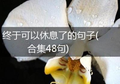 终于可以休息了的句子(合集48句)