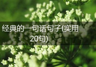经典的一句话句子(实用20句)