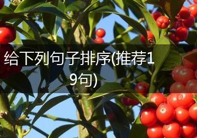 给下列句子排序(推荐19句)