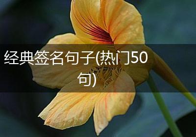 经典签名句子(热门50句)