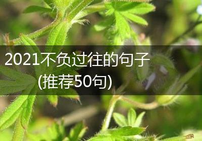 2021不负过往的句子(推荐50句)