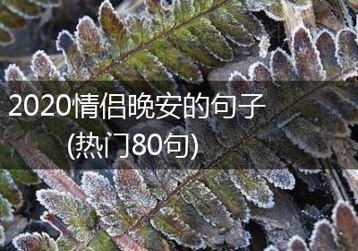 2020情侣晚安的句子(热门80句)
