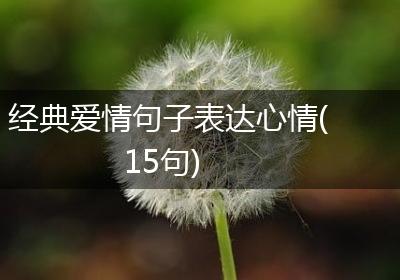经典爱情句子表达心情(15句)