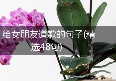 给女朋友道歉的句子(精选48句)