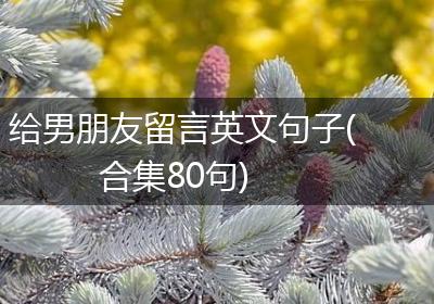 给男朋友留言英文句子(合集80句)