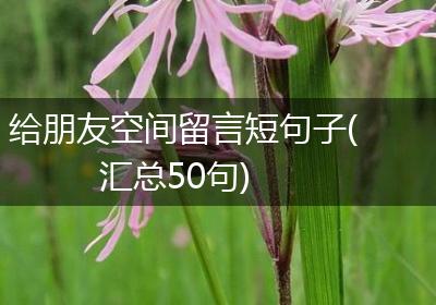 给朋友空间留言短句子(汇总50句)