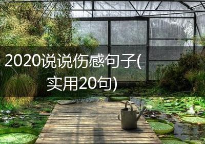 2020说说伤感句子(实用20句)