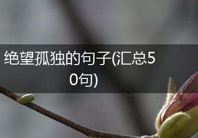 绝望孤独的句子(汇总50句)