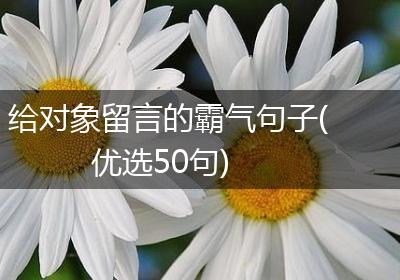 给对象留言的霸气句子(优选50句)