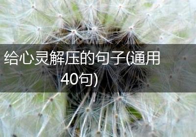 给心灵解压的句子(通用40句)