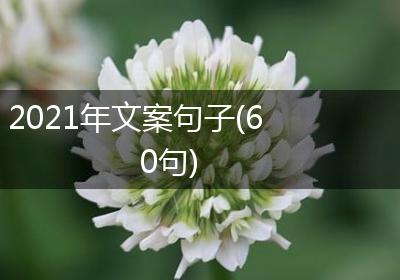 2021年文案句子(60句)