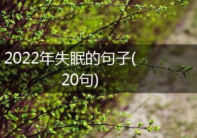 2022年失眠的句子(20句)