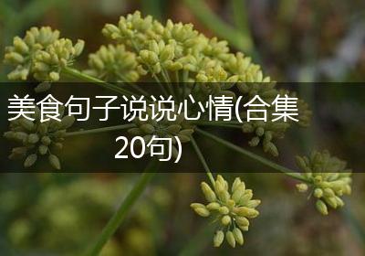 美食句子说说心情(合集20句)