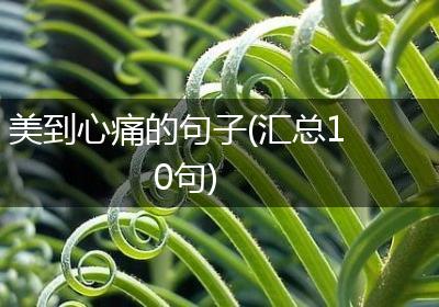 美到心痛的句子(汇总10句)