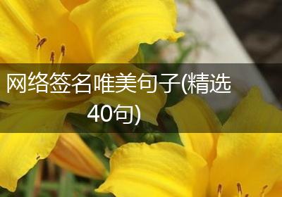 网络签名唯美句子(精选40句)
