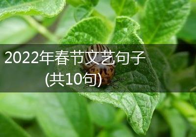 2022年春节文艺句子(共10句)