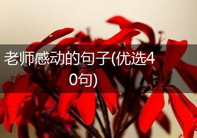 老师感动的句子(优选40句)
