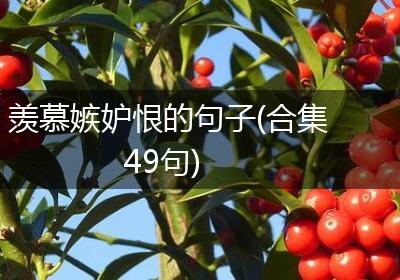 羡慕嫉妒恨的句子(合集49句)