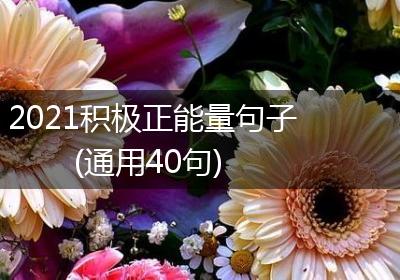 2021积极正能量句子(通用40句)