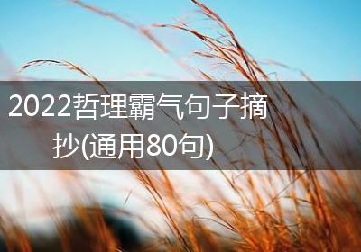 2022哲理霸气句子摘抄(通用80句)