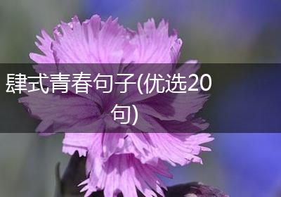肆式青春句子(优选20句)