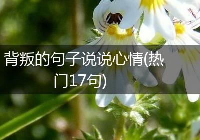 背叛的句子说说心情(热门17句)