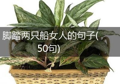 脚踏两只船女人的句子(50句)