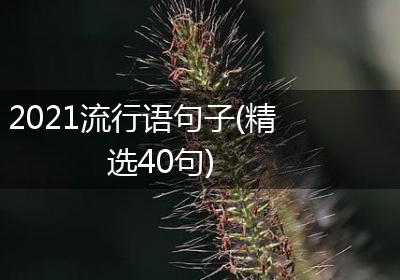 2021流行语句子(精选40句)